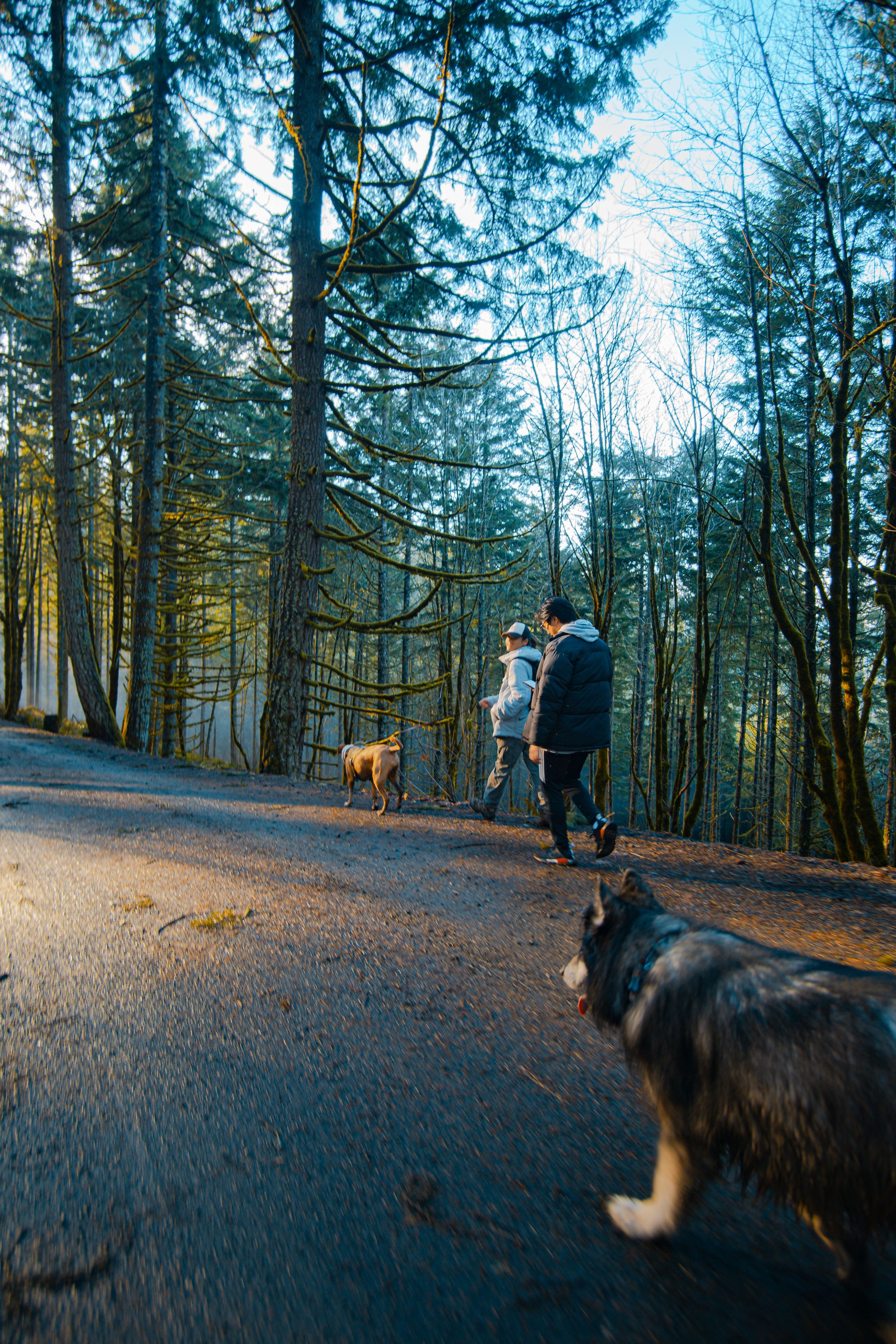 Walks & outings